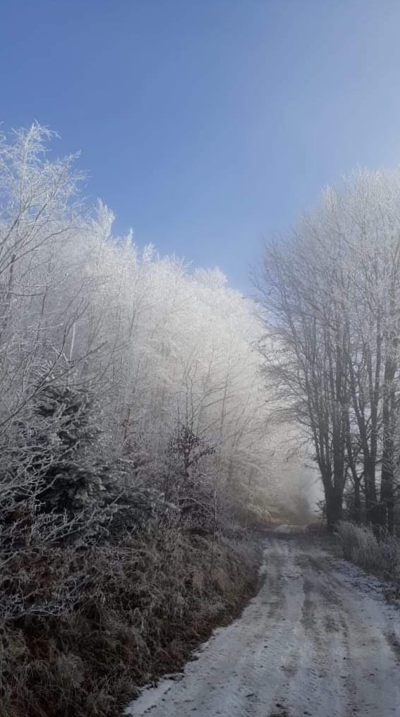 FOTO-grafia DNI  fot  pani Małgorzata Kędzierska