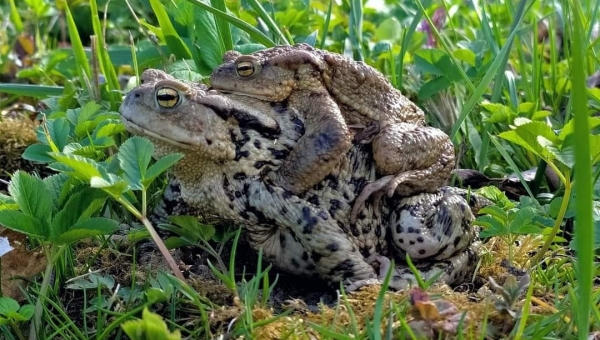 Zdjęcia miesiąca edycja KWIECIEŃ