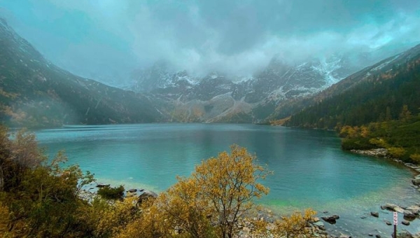 FOTO czwartek - zdjęcia tygodnia