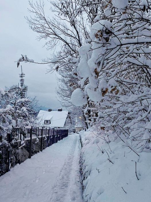 Wyniki konkursu fotograficznego "Stary Sącz w zimowej szacie"