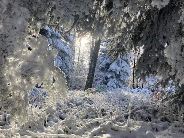 Znamy wyniki  edycji zdjęcie Stycznia