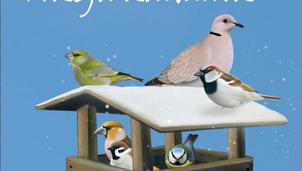 Pomóż ptakom przetrwać zimę